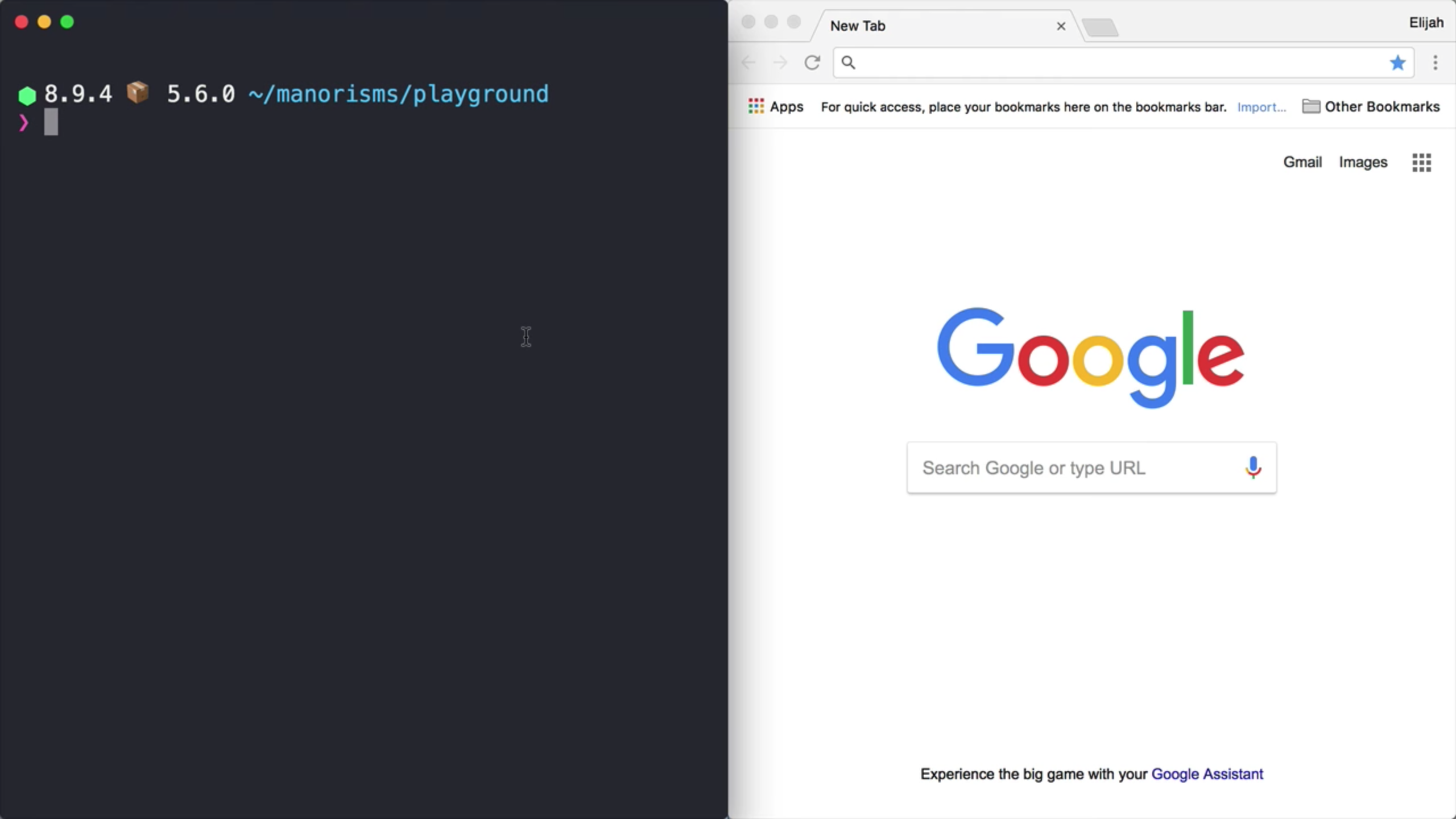 Screenshot of Terminal & Empty Browser